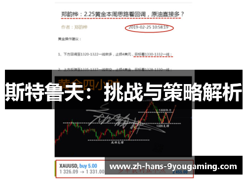 斯特鲁夫:挑战与策略解析 斯特鲁夫:挑战与策略解析