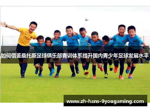 如何借鉴桑托斯足球俱乐部青训体系提升国内青少年足球发展水平 如何借鉴桑托斯足球俱乐部青训体系提升国内青少年足球发展水平