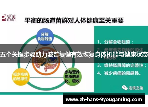 五个关键步骤助力波普复健有效恢复身体机能与健康状态