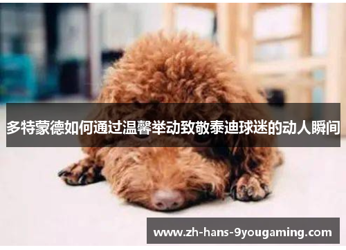 多特蒙德如何通过温馨举动致敬泰迪球迷的动人瞬间