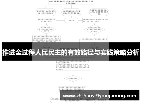 推进全过程人民民主的有效路径与实践策略分析