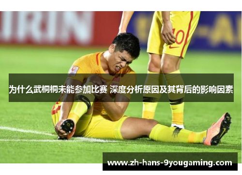 为什么武桐桐未能参加比赛 深度分析原因及其背后的影响因素