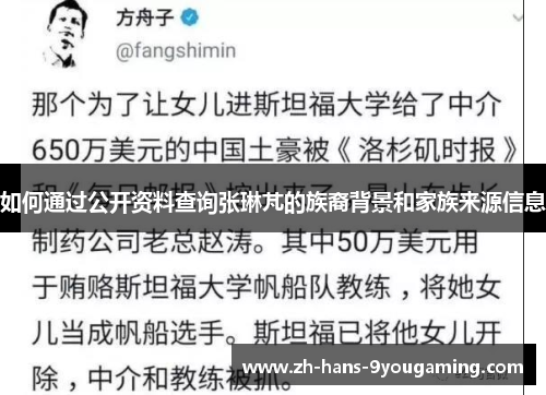 如何通过公开资料查询张琳芃的族裔背景和家族来源信息