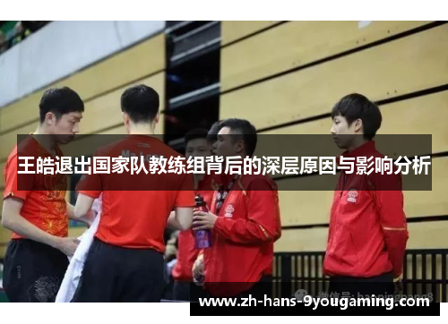王皓退出国家队教练组背后的深层原因与影响分析