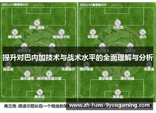 提升对巴内加技术与战术水平的全面理解与分析 提升对巴内加技术与战术水平的全面理解与分析