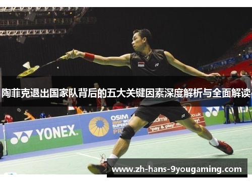 陶菲克退出国家队背后的五大关键因素深度解析与全面解读 陶菲克退出国家队背后的五大关键因素深度解析与全面解读