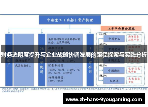 财务透明度提升与企业战略协调发展的路径探索与实践分析