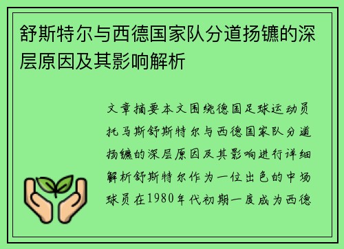 舒斯特尔与西德国家队分道扬镳的深层原因及其影响解析